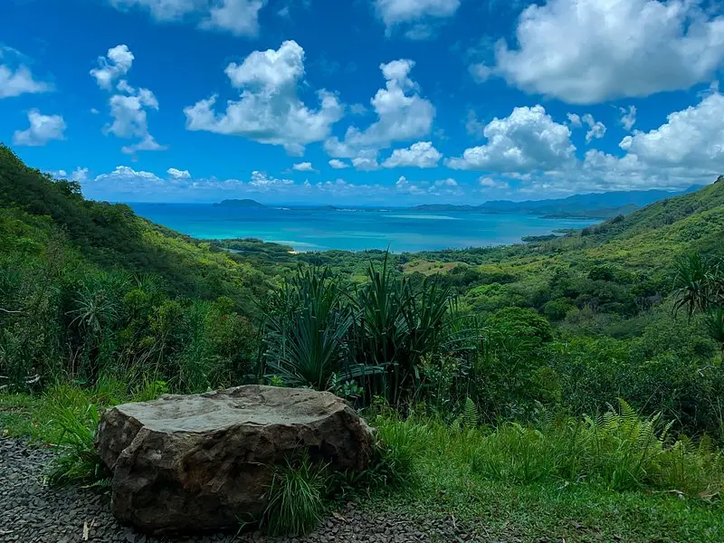 Kualoa Ranch Jungle Expedition