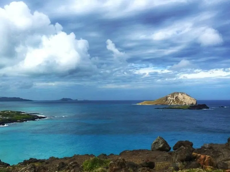Scenic Oahu Half-Day Tour with Breakfast and Byodo-In