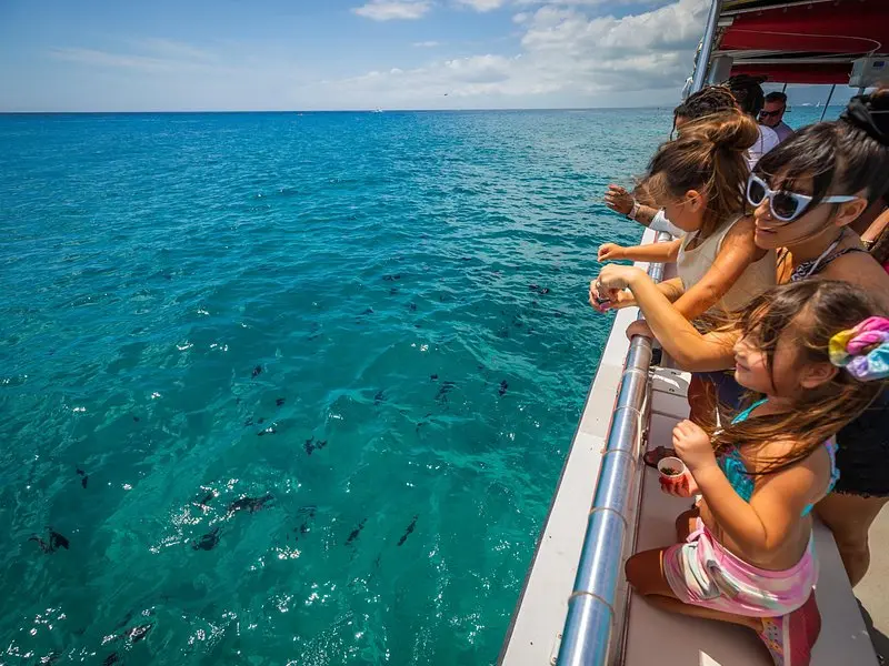 Waikiki Glass-Bottom Boat Cruise from Kewalo Basin