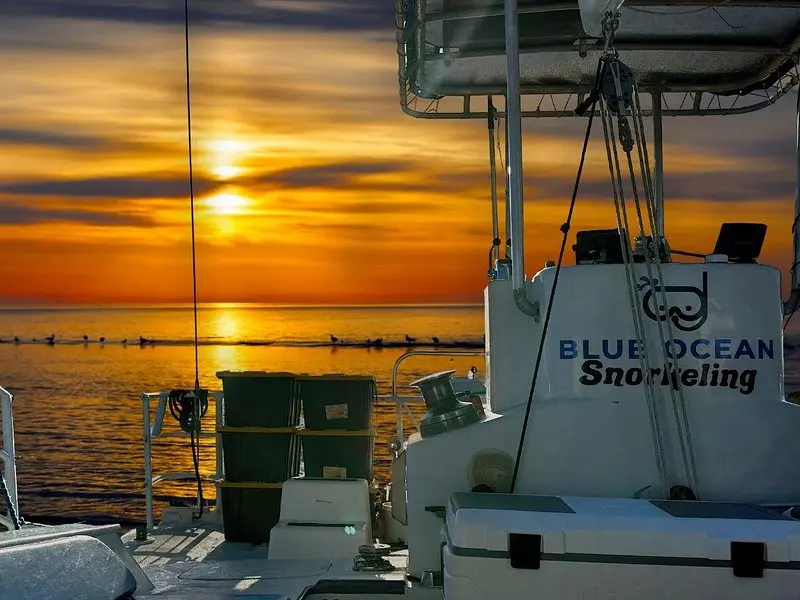 Waikiki turtle snorkeling tour 6 activities and sunset cruise — representative tour imagery